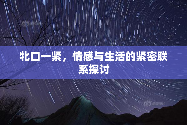牝口一紧，情感与生活的紧密联系探讨