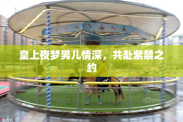 皇上夜梦男儿情深，共赴紫禁之约