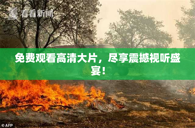 免费观看高清大片，尽享震撼视听盛宴！