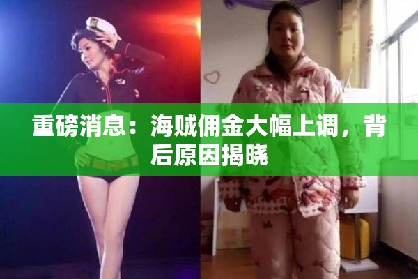 重磅消息：海贼佣金大幅上调，背后原因揭晓