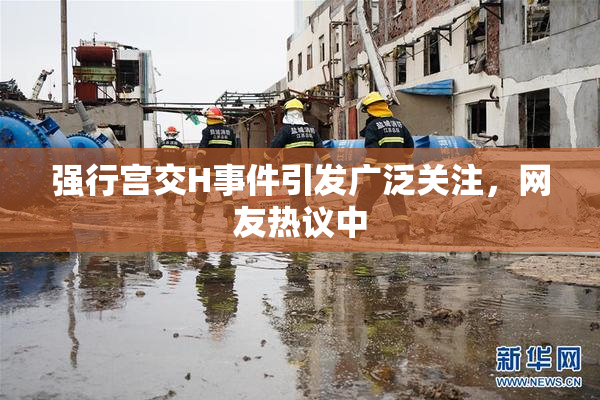 强行宫交H事件引发广泛关注，网友热议中