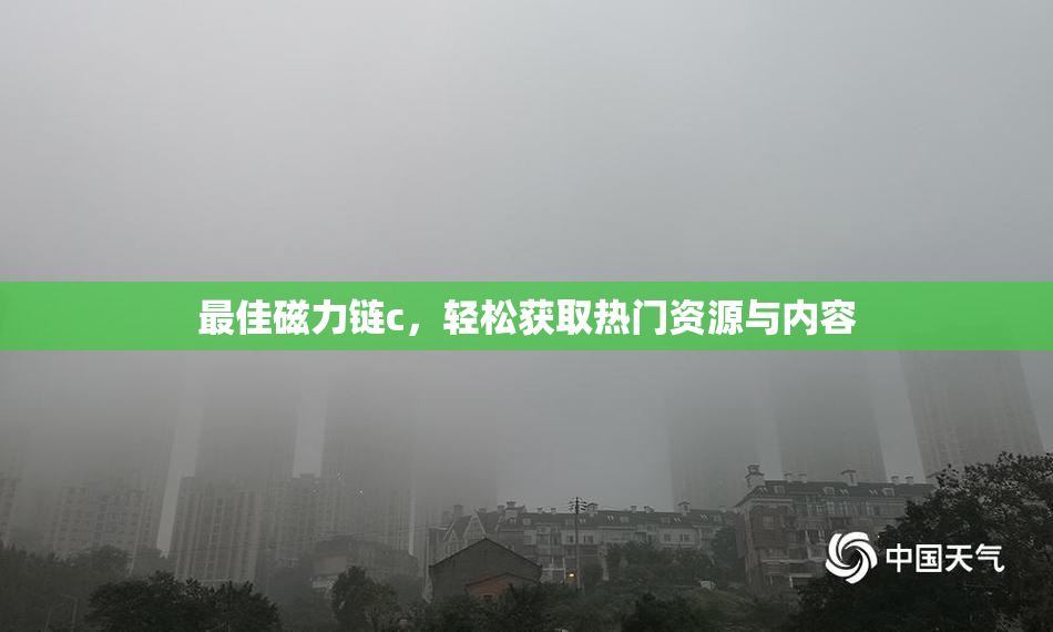 最佳磁力链c，轻松获取热门资源与内容
