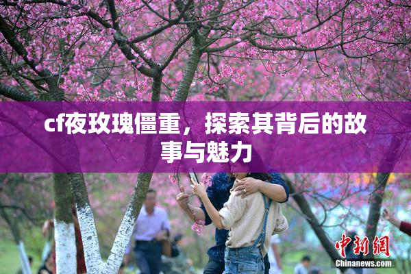 cf夜玫瑰僵重，探索其背后的故事与魅力
