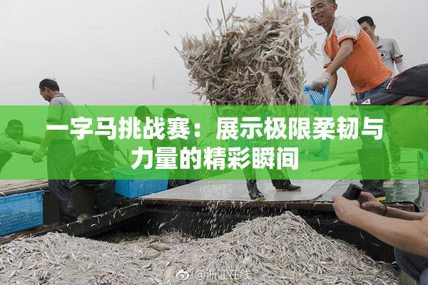 一字马挑战赛：展示极限柔韧与力量的精彩瞬间