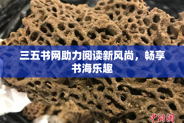 三五书网助力阅读新风尚，畅享书海乐趣