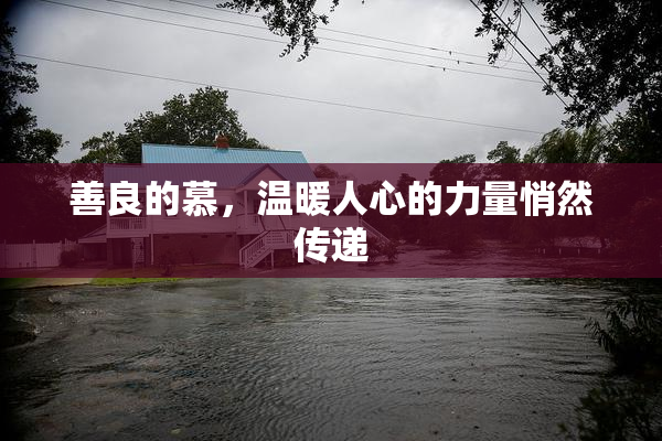 善良的慕，温暖人心的力量悄然传递