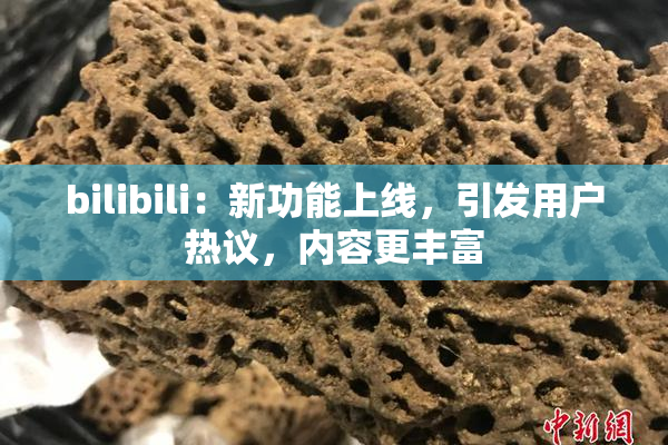 bilibili：新功能上线，引发用户热议，内容更丰富