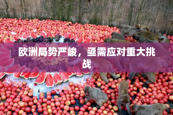 欧洲局势严峻，亟需应对重大挑战