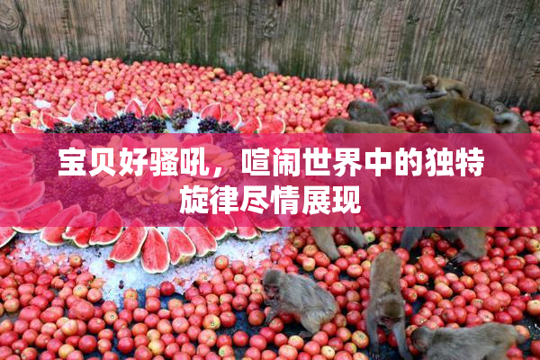 宝贝好骚吼，喧闹世界中的独特旋律尽情展现