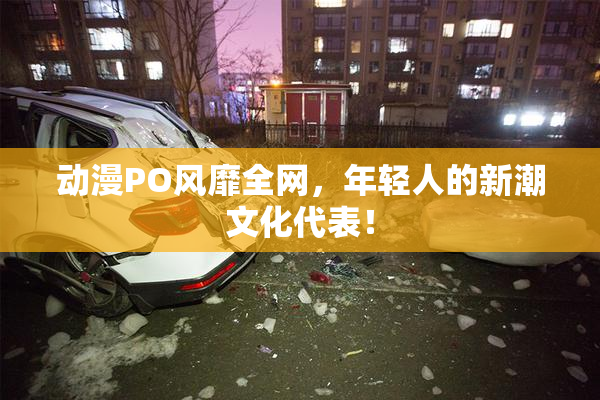 动漫PO风靡全网，年轻人的新潮文化代表！