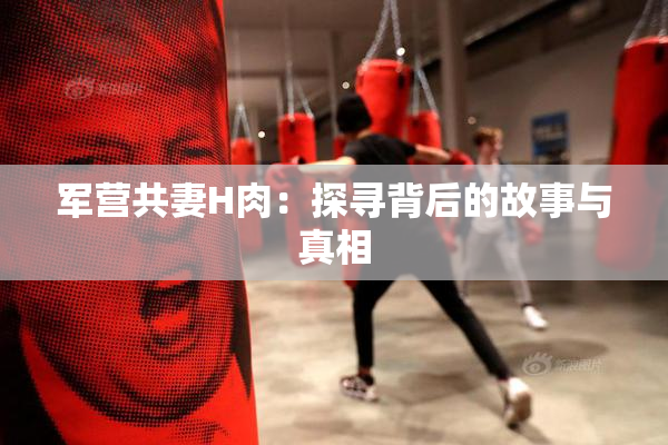 军营共妻H肉：探寻背后的故事与真相
