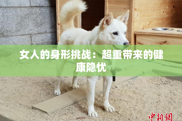 女人的身形挑战：超重带来的健康隐忧