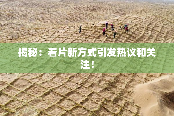 揭秘：看片新方式引发热议和关注！