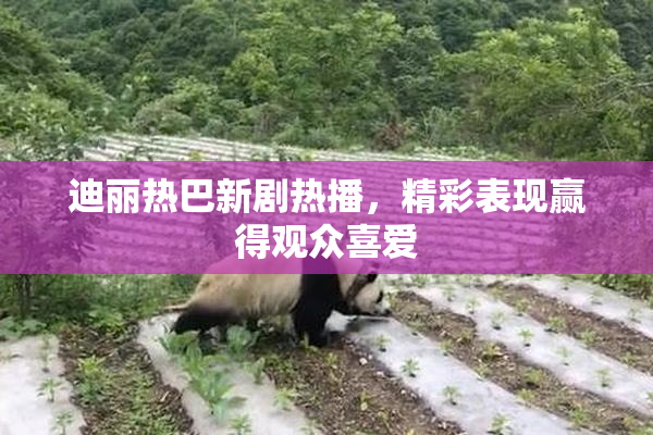 迪丽热巴新剧热播，精彩表现赢得观众喜爱