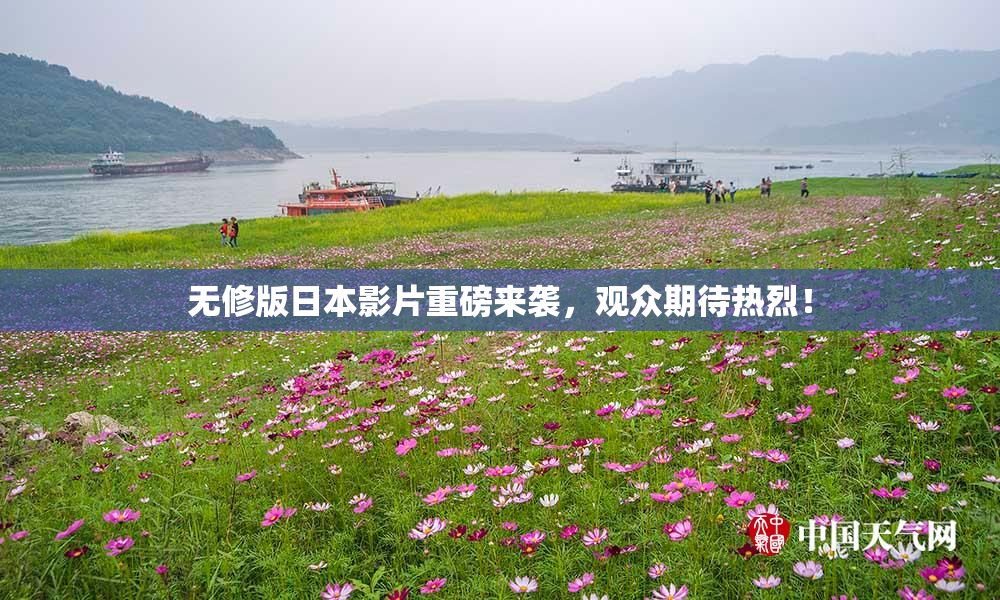 无修版日本影片重磅来袭，观众期待热烈！