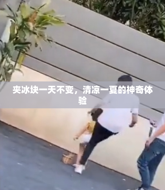 夹冰块一天不变，清凉一夏的神奇体验