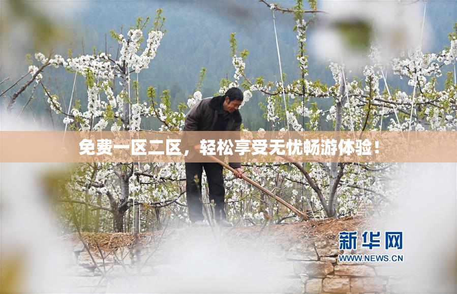 免费一区二区，轻松享受无忧畅游体验！