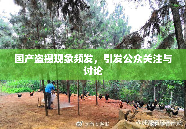 国产盗摄现象频发，引发公众关注与讨论