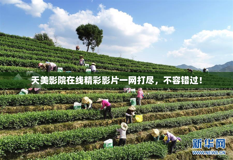 天美影院在线精彩影片一网打尽，不容错过！