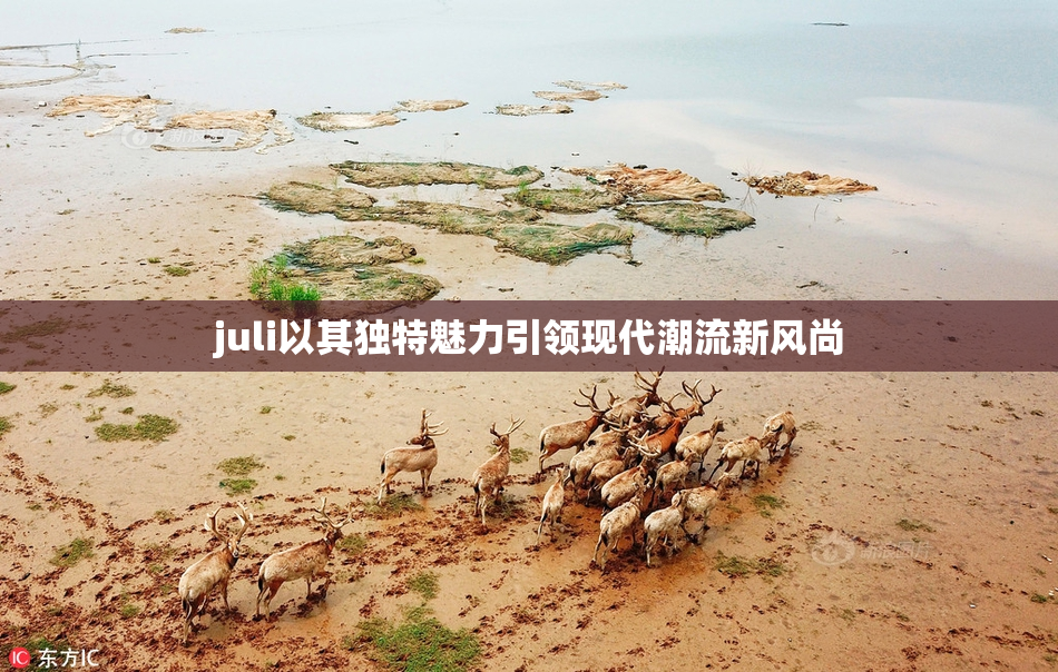 juli以其独特魅力引领现代潮流新风尚