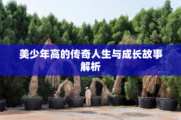 美少年高的传奇人生与成长故事解析