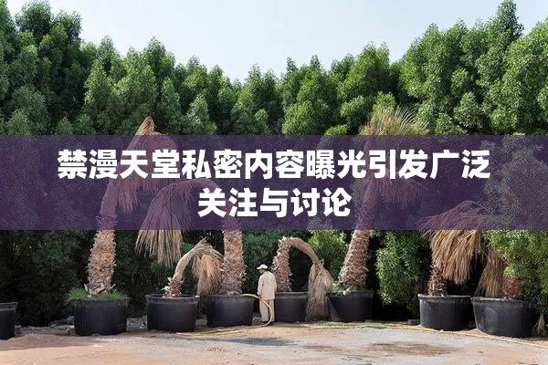 禁漫天堂私密内容曝光引发广泛关注与讨论