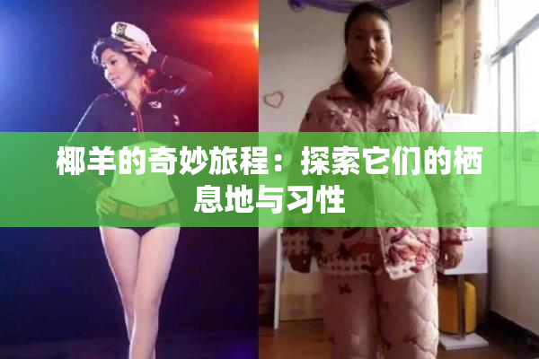 椰羊的奇妙旅程：探索它们的栖息地与习性