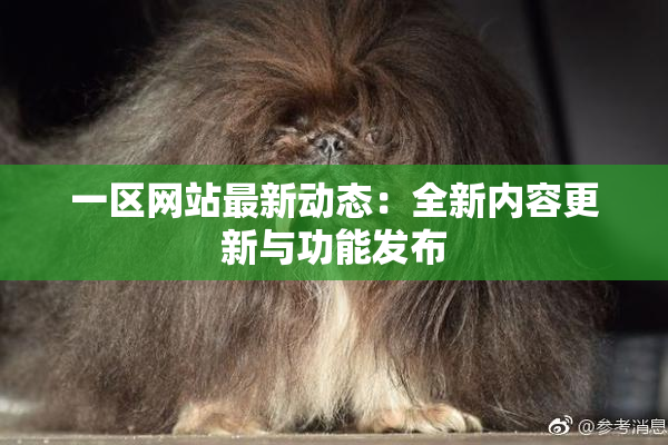一区网站最新动态：全新内容更新与功能发布