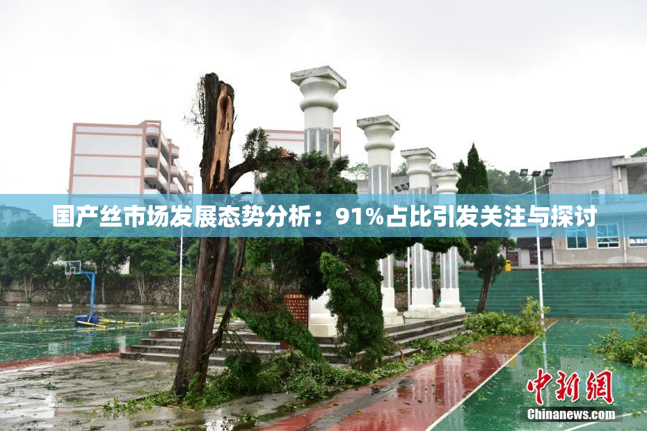 国产丝市场发展态势分析：91%占比引发关注与探讨