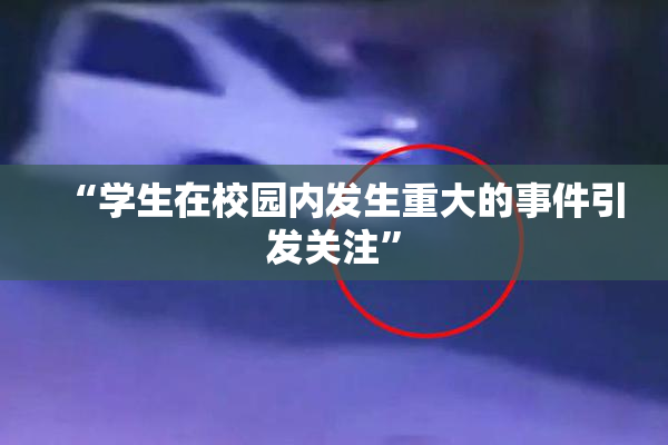 “学生在校园内发生重大的事件引发关注”