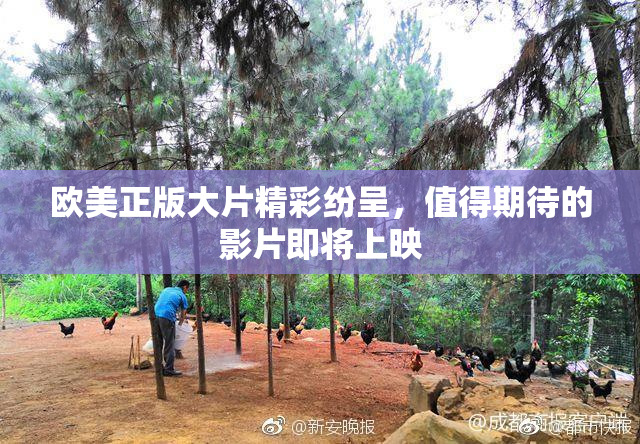 欧美正版大片精彩纷呈，值得期待的影片即将上映