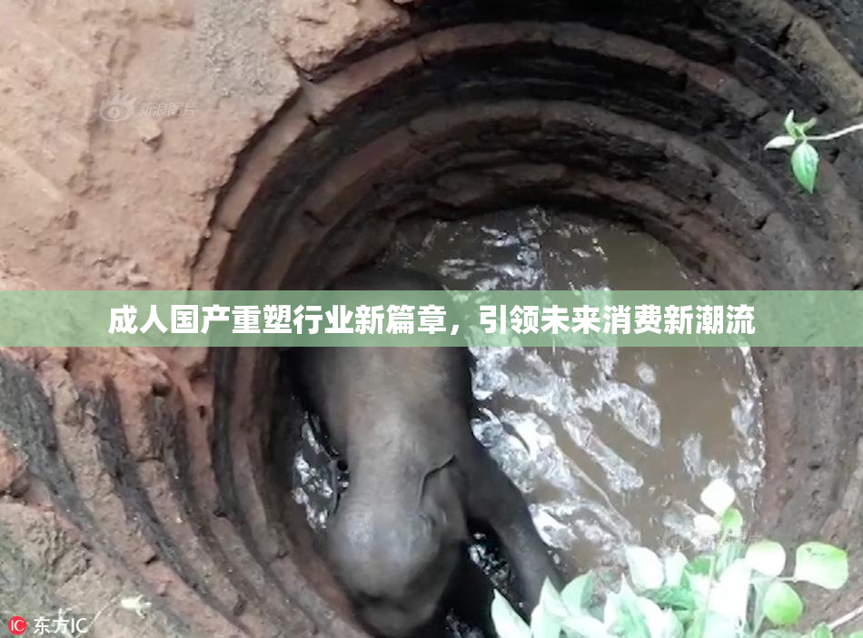 成人国产重塑行业新篇章，引领未来消费新潮流
