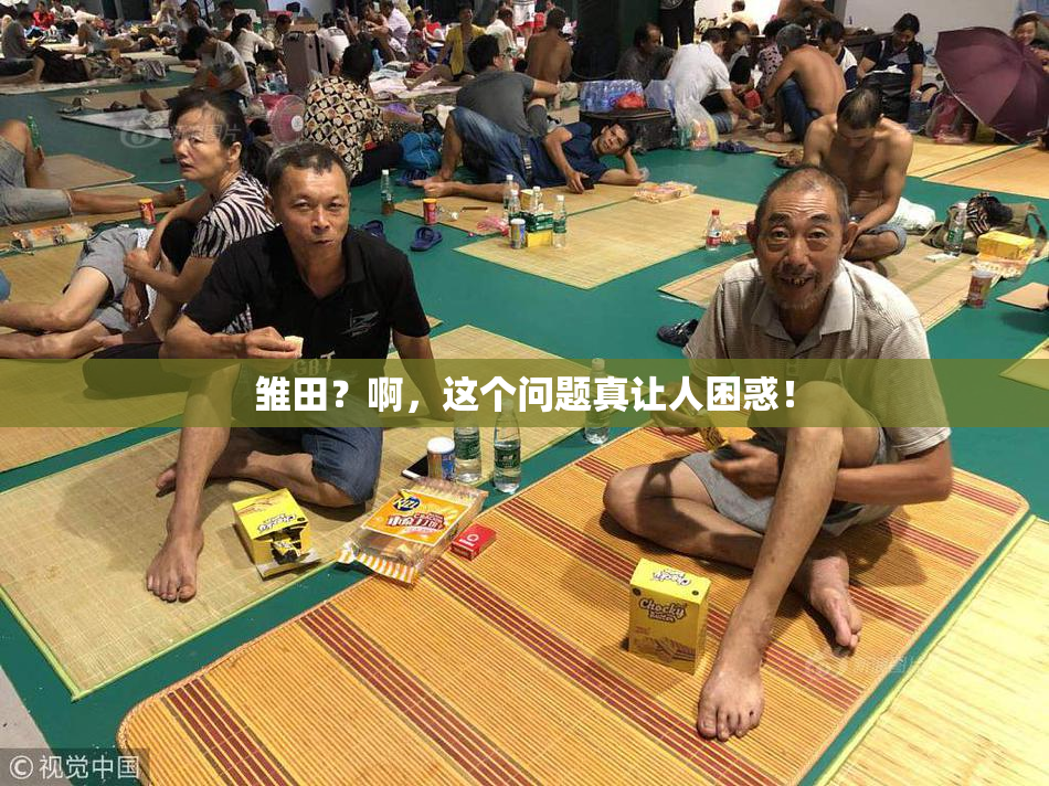 雏田？啊，这个问题真让人困惑！