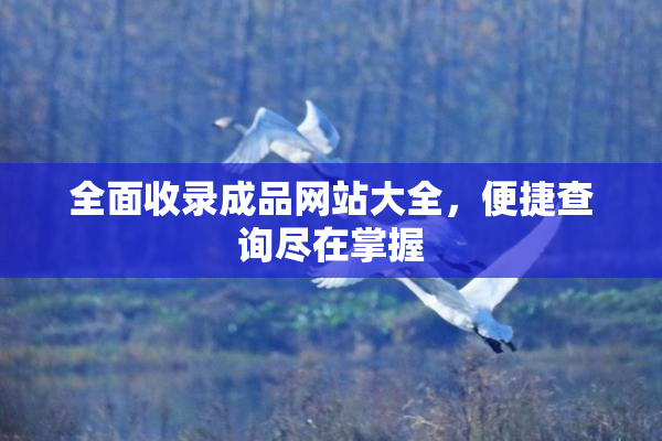 全面收录成品网站大全，便捷查询尽在掌握