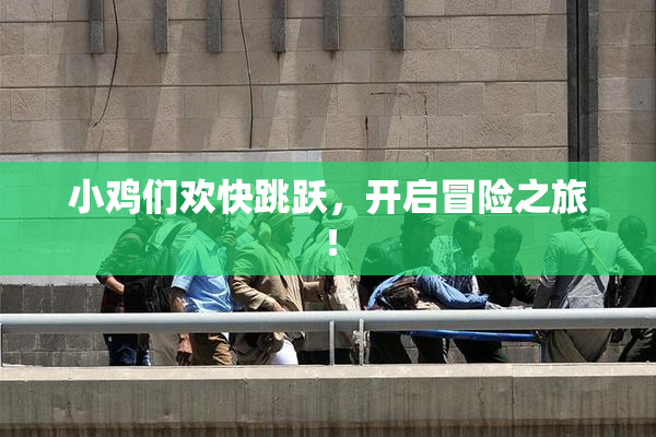 小鸡们欢快跳跃，开启冒险之旅！