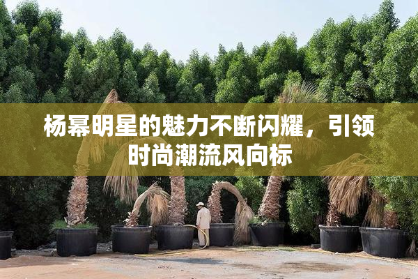 杨幂明星的魅力不断闪耀，引领时尚潮流风向标