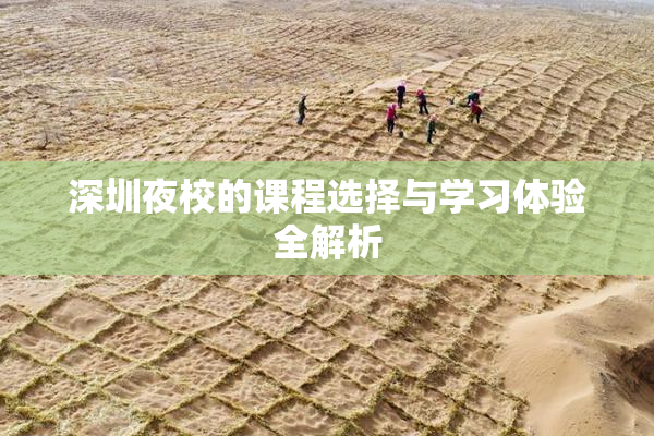 深圳夜校的课程选择与学习体验全解析