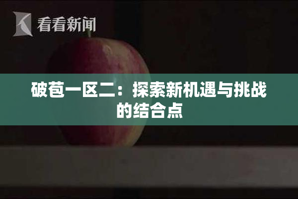 破苞一区二：探索新机遇与挑战的结合点