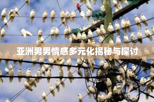 亚洲男男情感多元化揭秘与探讨