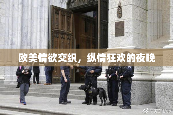 欧美情欲交织，纵情狂欢的夜晚