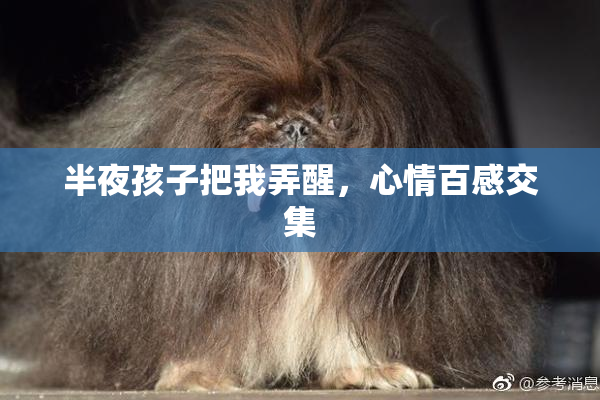半夜孩子把我弄醒，心情百感交集