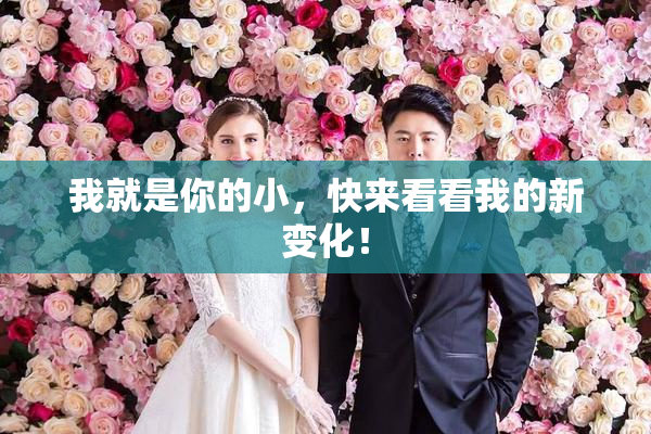 我就是你的小，快来看看我的新变化！