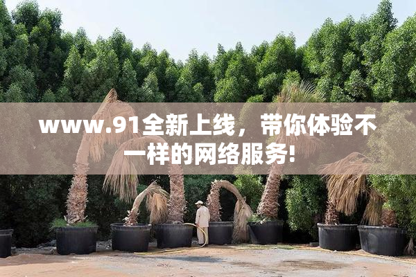 www.91全新上线，带你体验不一样的网络服务!