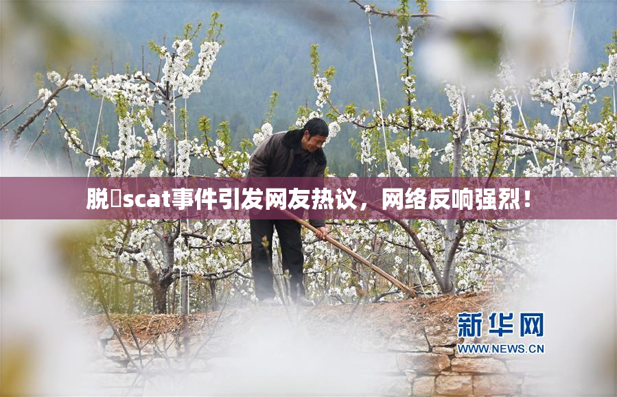 脱糞scat事件引发网友热议，网络反响强烈！
