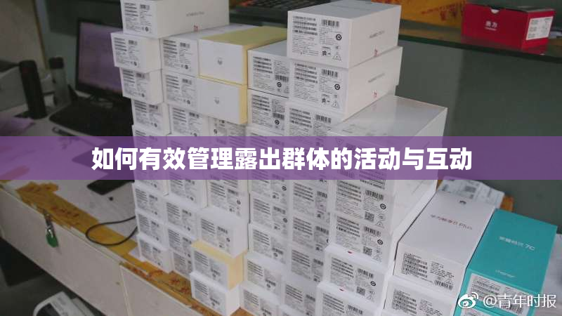 如何有效管理露出群体的活动与互动