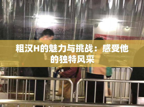 粗汉H的魅力与挑战：感受他的独特风采