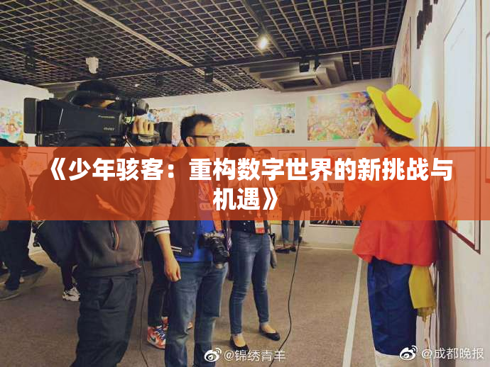 《少年骇客：重构数字世界的新挑战与机遇》