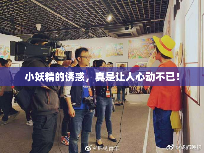 小妖精的诱惑，真是让人心动不已！
