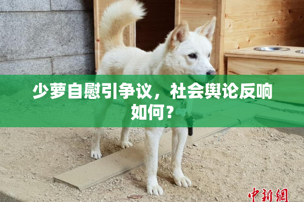 少萝自慰引争议，社会舆论反响如何？
