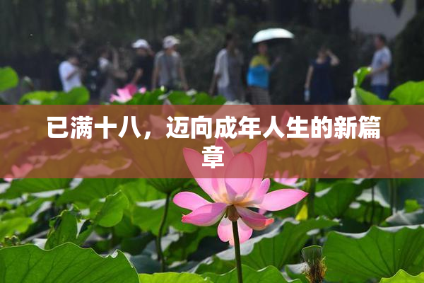 已满十八，迈向成年人生的新篇章